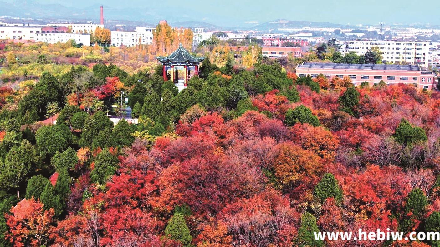 山城区：优化城市环境 打造宜居空间