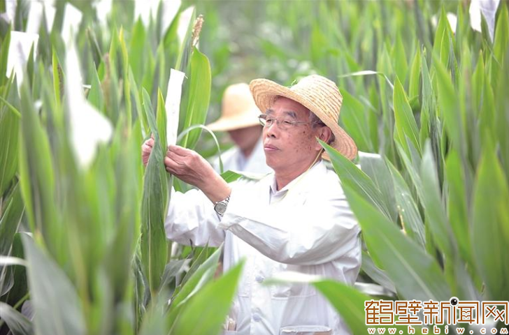 执文明之笔 绘美丽鹤城新图景 ——写在鹤壁市荣获第七届“全国文明城市”称号之际