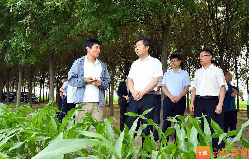 李可调研防汛和乡村振兴工作