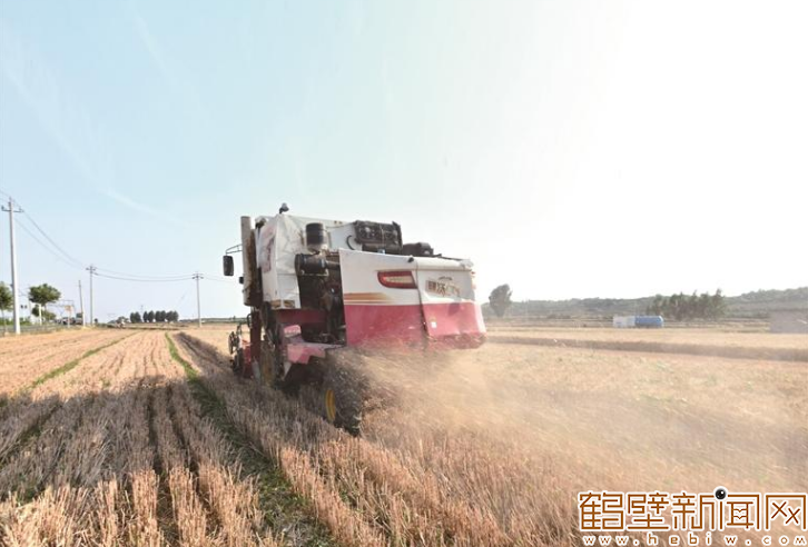 淇县：全域布防护夏收