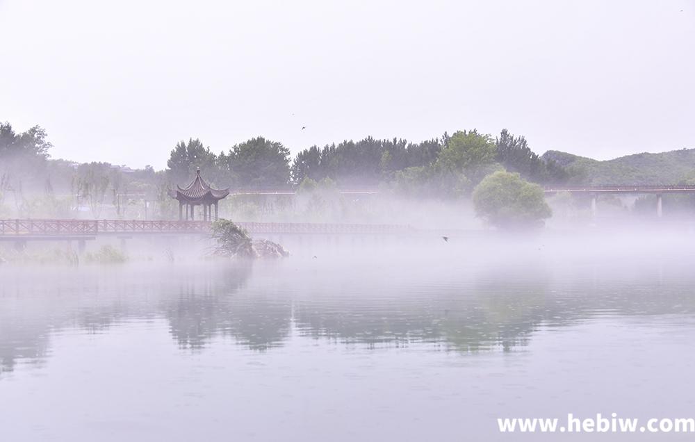 【组图】烟雨淇河似江南