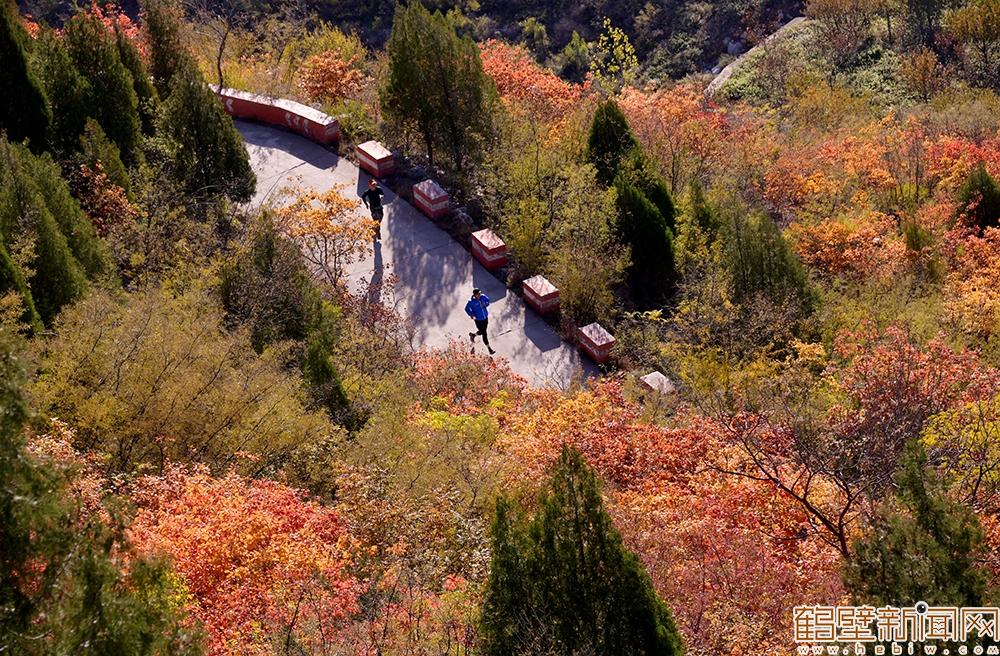 【组图】2025年鹤壁市五岩山登山活动举行