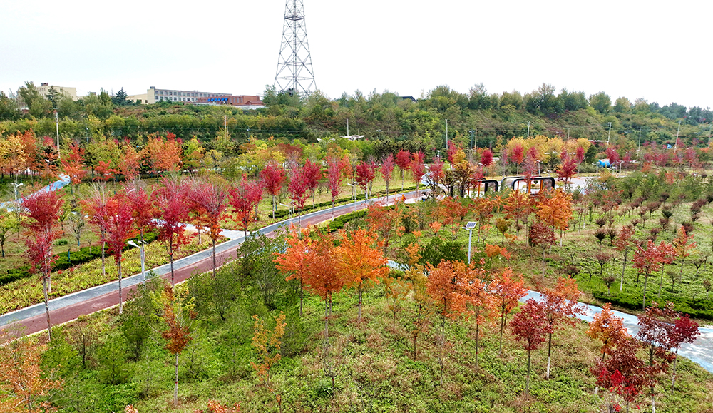 【组图】鹤壁限定！再不来就要错过了……