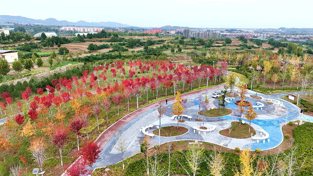 【组图】鹤壁限定！再不来就要错过了……