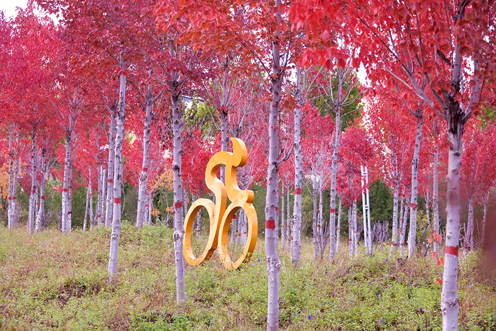 【组图】鹤壁限定！再不来就要错过了……