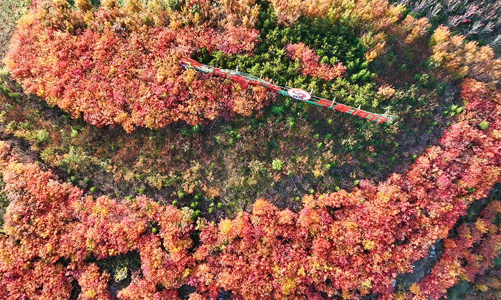 【组图】邂逅初冬