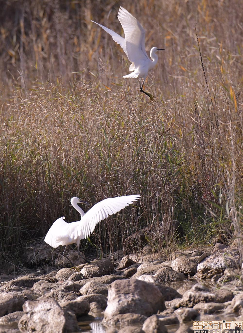 【组图】邂逅初冬