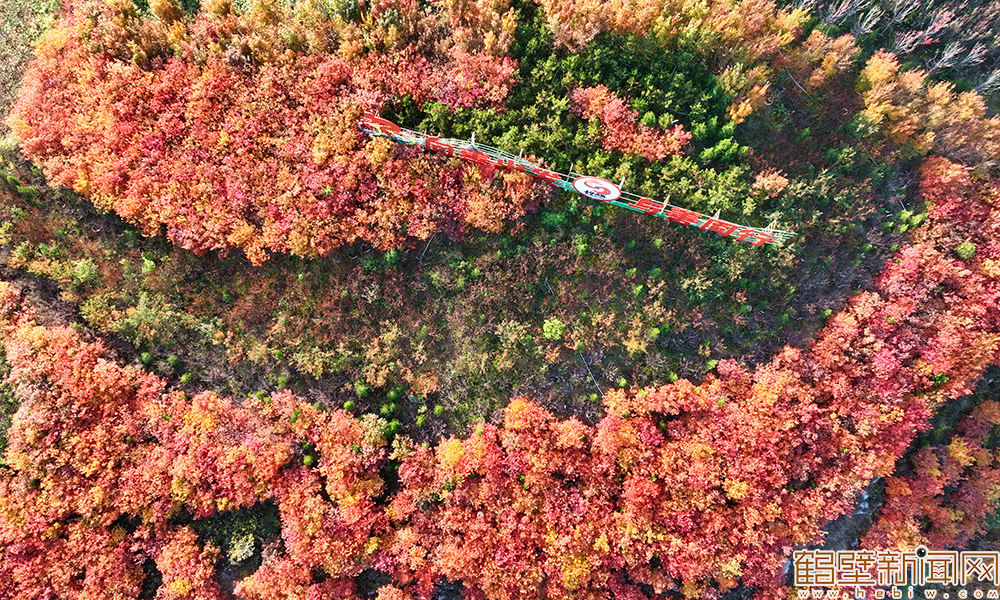 【组图】邂逅初冬