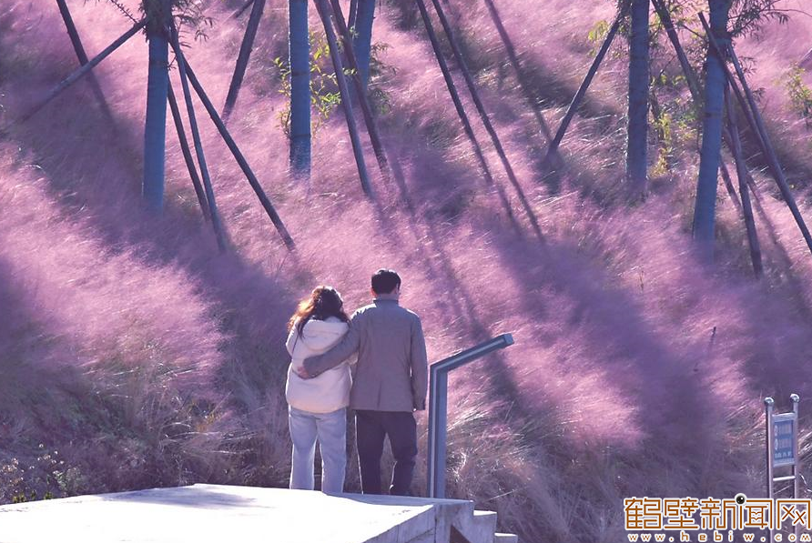 【组图】淇水冬韵